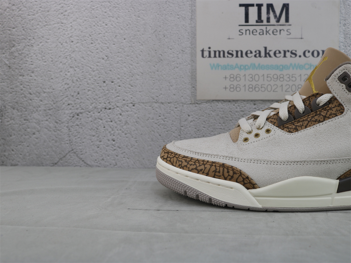 Air Jordan 3 Retro Palomino CT8532-102